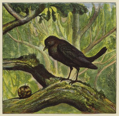 Amsel und Schnecke von Ernest Henry Griset