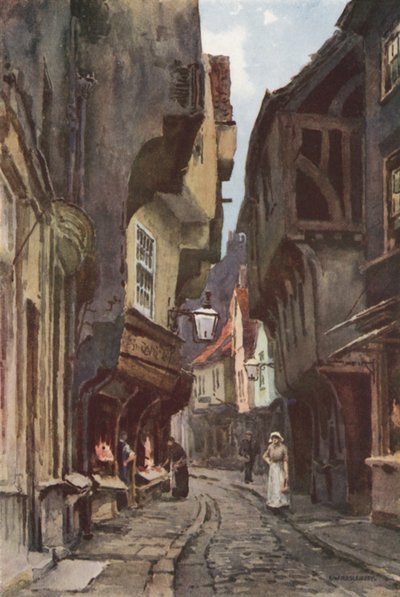 The Shambles von Ernest William Haslehust