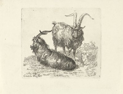 Zwei Widder auf einer Weide von Ernst Ludwig Creite