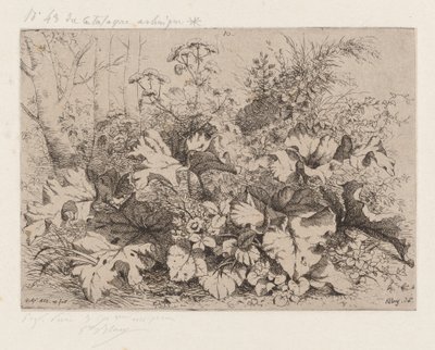 Blühende Klette von Eugene Bléry