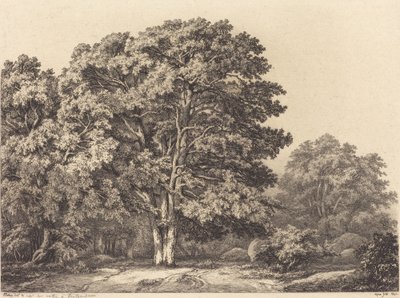 Eingang zu einem Wald, 1840 von Eugene Bléry