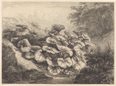 Große Huflattich von Eugene Bléry