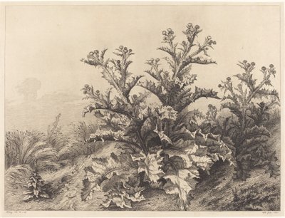 Große Distel von Eugene Bléry