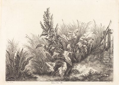 Geduld des Wassers, Studie von Eugene Bléry