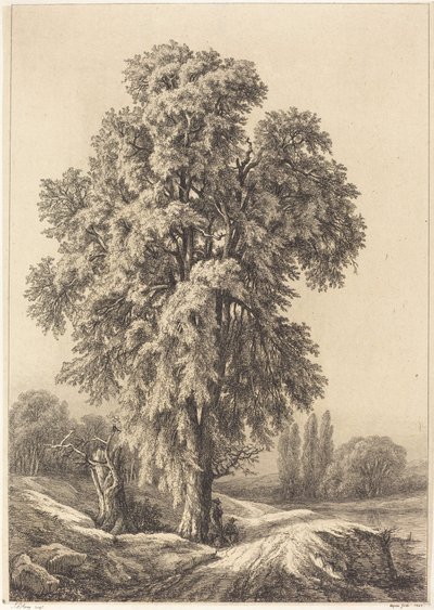 Der Ulmenbaum von Eugene Bléry