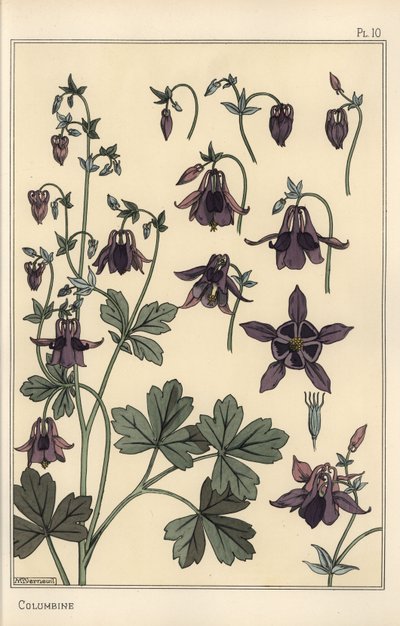 Akelei, Aquilegia vulgaris, Blütenteile von Eugene Grasset