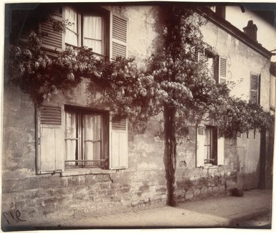 Glyzinie (Wisteria), Châtillon von Eugène Atget