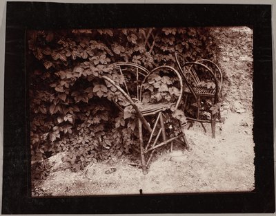 Hopfen von Eugène Atget