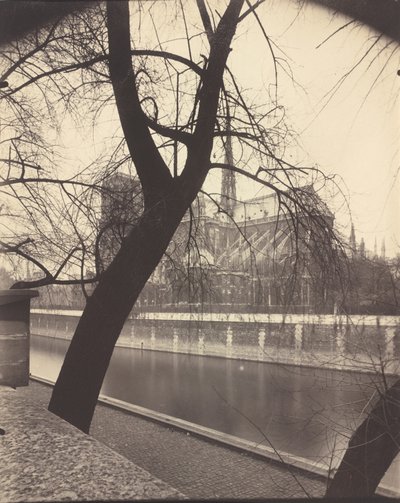 Notre-Dame von Eugène Atget