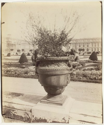 Versailles, Vase von Ballin, 1902 von Eugène Atget