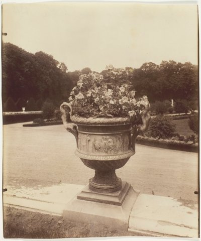 Versailles, Vase von Ballin, 1902 von Eugène Atget