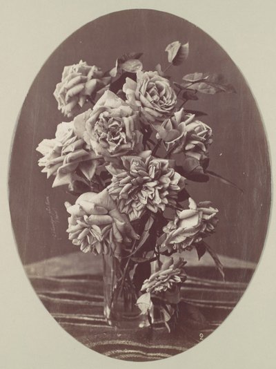 [Rosen], ca. 1875 von Eugène Chauvigné