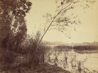 Marais de Fampoux, frühe 1860er Jahre von Eugène Cuvelier