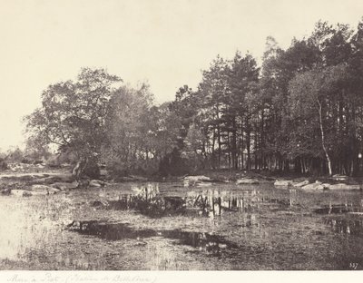 Sumpf bei Piat (Belle-Croix-Plateau) von Eugène Cuvelier