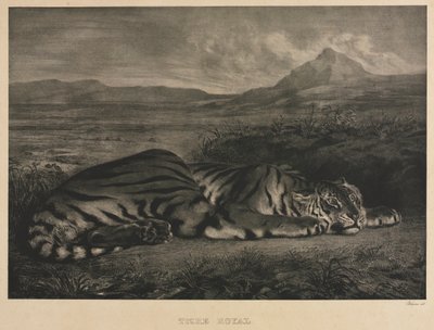 Königlicher Tiger von Eugène Delacroix