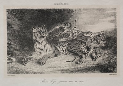 Junger Tiger spielt mit seiner Mutter von Eugène Delacroix