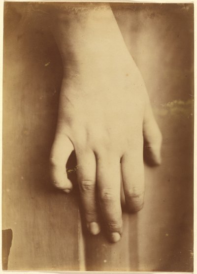 Studie einer Hand von European 19th Century