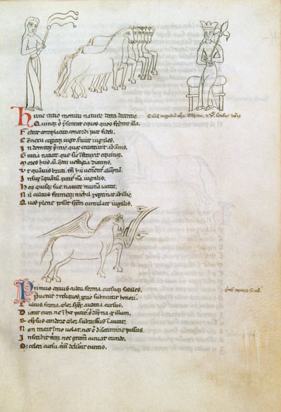 Bestiarium: das Pferd von European School