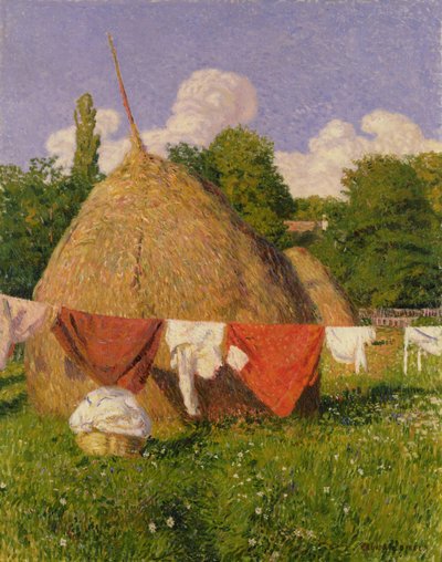 Heuhaufen von Evany Grunwald Bela