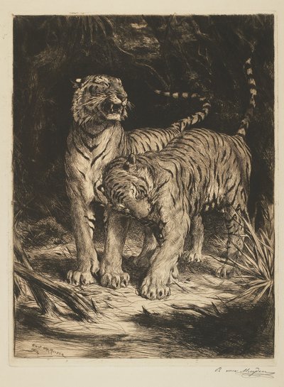 Zwei Tiger von Evert van Muyden