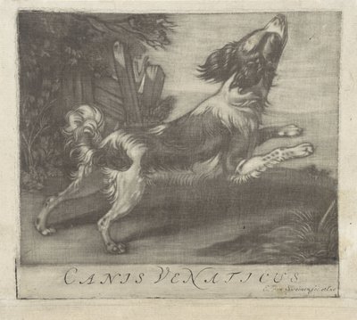 Springender Hund von Evert van Sweinen