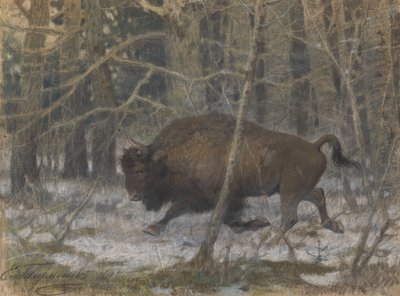 Der Waldbison von Evgeny Alexandrovich Tichmenev