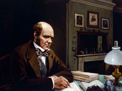 Darwin in seinem Arbeitszimmer von Evstafieff Evstafieff