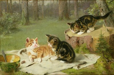 Kätzchen beim Spielen von Ewald Honnef