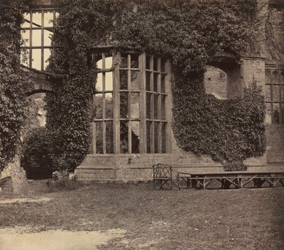 Bei Raglan Castle von F.D.