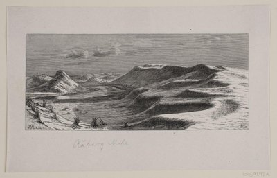 Råbjerg Mile von F. Hendriksen