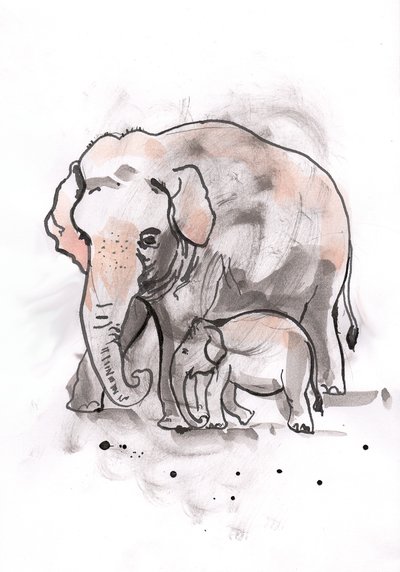 Elefant und Kalb von Faisal Khouja