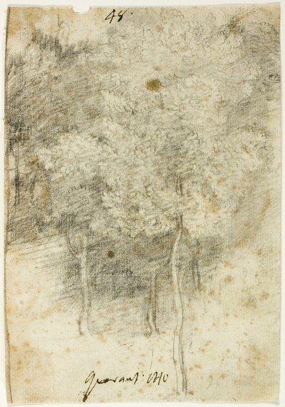 Baumgruppe von Federico Barocci