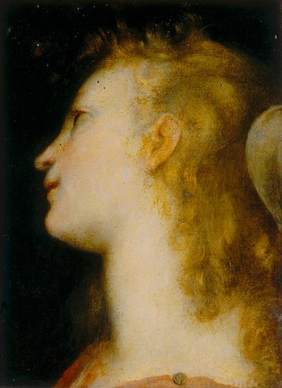 Kopf eines Engels von Federico Barocci