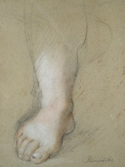 Studie eines Fußes von Federico Barocci