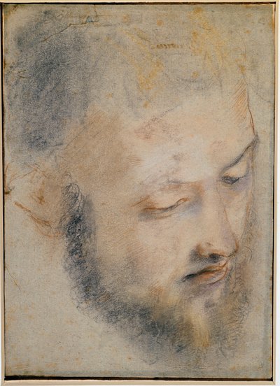 Studie eines Kopfes, Zeichnung von Barocci von Federico Barocci