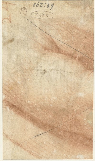 Teil eines Arms von Federico Zuccaro