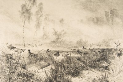Brumes du matin, 1882 von Felix Bracquemond