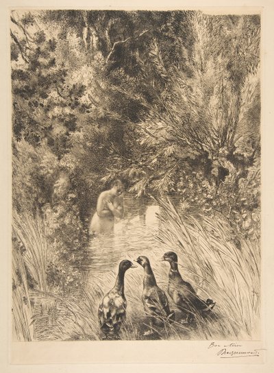Überraschte Enten, 1882 von Felix Bracquemond