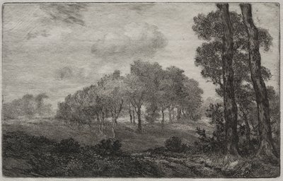 Landschaft, nach Français von Felix Bracquemond
