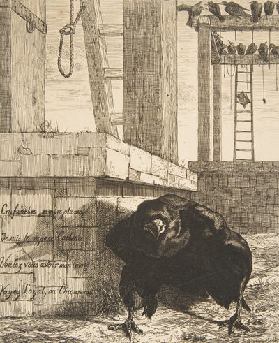 Der Rabe von Felix Bracquemond