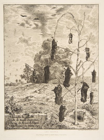 Die Maulwürfe, 1854 von Felix Bracquemond