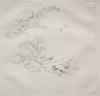 Pariser Service (Haviland-Service): Nebel (Nr. 1) von Felix Bracquemond