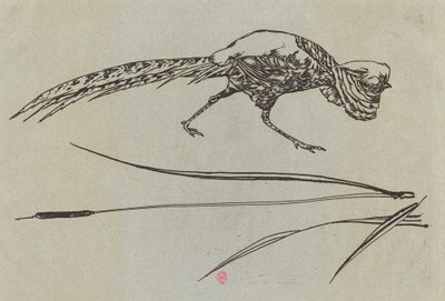 Fasan von Felix Bracquemond