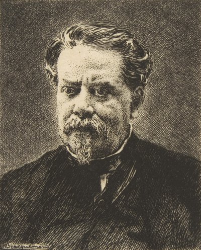Porträt von Benjamin Fillon, 1876 von Felix Bracquemond
