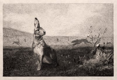 Der Hase nach A. de Balleroy, 1865 von Felix Bracquemond