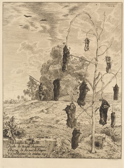 Die Maulwürfe (Les taupes) von Felix Bracquemond