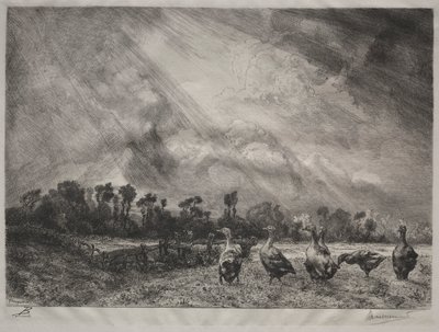 Die Sturmwolke von Felix Bracquemond