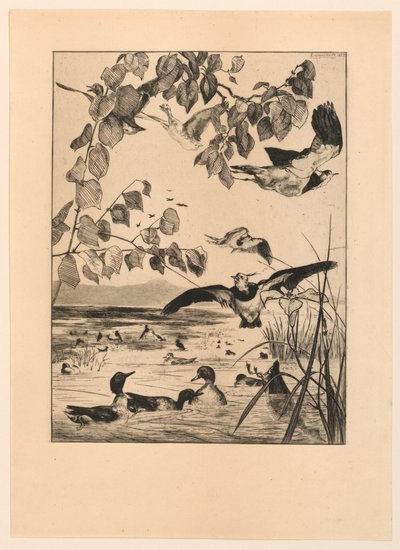 Kiebitze und Krickenten von Felix Bracquemond