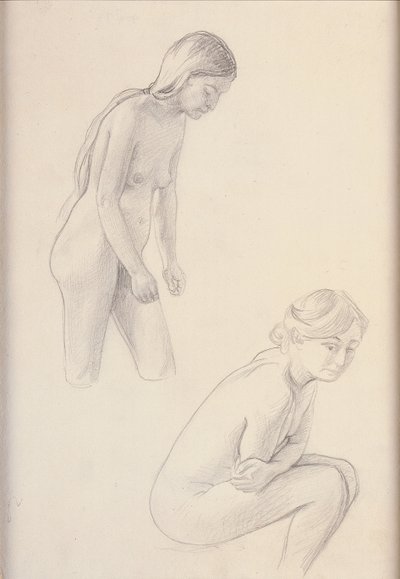 Zwei Nackte von Felix Edouard Vallotton