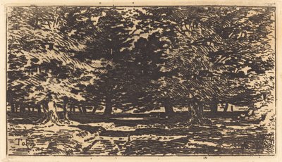 Wald (Forêt) von Felix Hilaire Buhot
